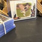 Talonted Bird Inserts - 2023 Topps Allen & Ginter - Complete 20 Card Set 1-20