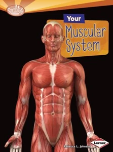 Your Muscular System (How Does Your B... By Johnson, Rebecca, paperback,Excellen - Foto 1 di 1