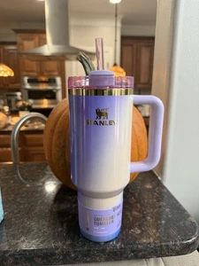 Stanley x Wicked 40oz FlowState Löscher Becher Glinda For Good IN HAND - Bild 1 von 6