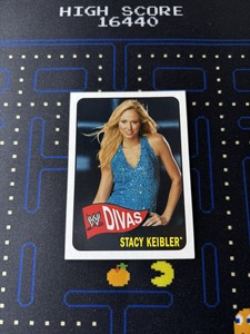 STACY KEIBLER CARD 2005 TOPPS HERITAGE WWE DIVAS #66