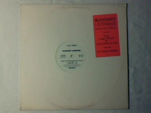 BUCKSHOT LEFONQUE Some cow fonque 12" PR0M0 USA - Picture 1 of 1