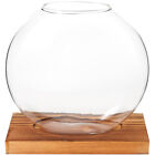 Hydroponic Dill Ornaments Glass Office Terrarium Jar Planter Bulb Vase