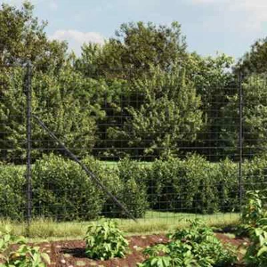 LAPOOH Maschendrahtzaun Anthrazit 1,6x25 m Verzinkter Stahl, Volierendraht, E9M3 - Bild 1 von 5