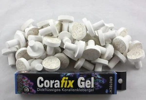 50 Ablegersteine Korallen-Plugs 30mm + 20g Korallen-Gelkleber Corafix Gel - Picture 1 of 1