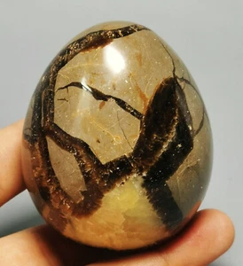 Polierte DRACHE SEPTAR GEODE KUGEL Ei Madagaskar - Bild 1 von 10
