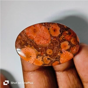 Amapola Jaspe Natural Amapola Jaspe Cabujón Piedras Preciosas Sueltas Joyería 31 Ct ME-10404 - Imagen 1 de 3