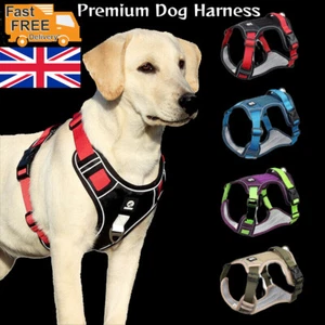 Arnés para perros mediano pequeño grande plomo sin tirar con asa collar de abrigo de coche fuerte - Imagen 1 de 16
