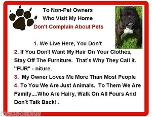 Funny American Bully  House Rules Refrigerator / Magnet Gift Card Idea - Picture 1 of 1