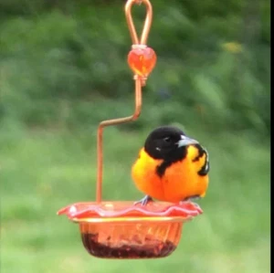 Single Oriole Feeder - Picture 1 of 9