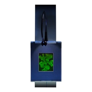 3D KORALLEN Hologramm Bild BELEUCHTET WANDANZEIGE, Silberhalogenid Typ Film - Bild 1 von 7
