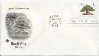 Scott 4619 FDC - Forever - 2012 - Black Pine - FDOI - Excellent - Image 1 of 2