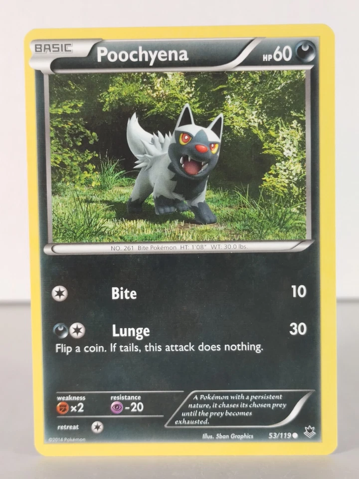Poochyena - XY Phantom Forces - 53/119 - Pokemon TCG - Common - Image 1 of 1