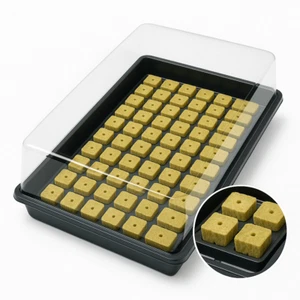 Zimmergewächshaus Anzuchtset 77er Tray inkl. Rockwool Würfel & Haube - Bild 1 von 7