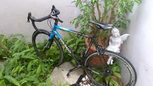 Colnago C50 Carbon 55 Cm:  EXCELLENT condition Ale Jet Model  Frame or Complete - Picture 1 of 10