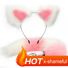 Faux Fox Tail Plugs Costume Couples Binding Roleplay Bunny Mouth Gags Ball