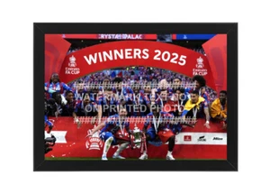 FA CUP TROPHY PHOTO CRYSTAL PALACE CHAMPIONS 2025 WEMBLEY FRAMED SQUAD TEAM - Picture 1 of 14