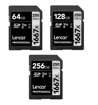 Lexar SDXC 1667x 64–256GB – UHS-II Classe 10 V60 Scheda Memoria per Video 4K - Immagine 1 di 4