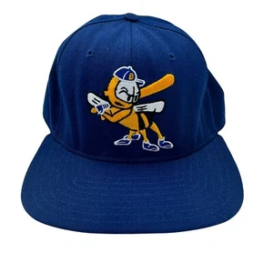 Burlington Bees Vtg DeLong Snapback Hat MiLB Minor League Baseball Made USA - Picture 1 of 8