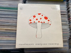 MUSHROOM - Early One Morning - IRISH 1st PRESS LP 1973 POSTER + INNER FOLK PSYCH - Picture 1 of 10