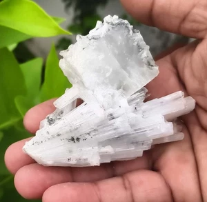 Scolecite Spray On Apophyllite Minerals Specimen India BO=27 - Picture 1 of 7