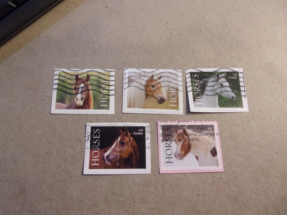 USA Used, 2024 Issue, Horses, (Set of 5), Scott #5891-95 - Image 1 of 1