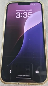 Apple iPhone 13 Pro Max - 256 GB READ DESCRIPTION - Photo 1 sur 2