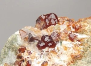 GARNET var. HESSONITE crystals on skarn matrix ---- AFGHANISTAN Laghman /pi979 - Picture 1 of 10