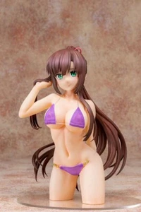 Sayaka Kirasaka with cloth swimsuit 1/5 PMMA Figure Strike the Blood From Japan - Picture 1 of 7