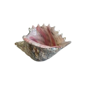 Handmade Large Glass Seashell Art Glass Nautical Table Decor - Picture 1 of 10