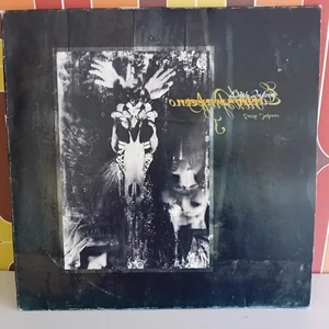 Fields Of The Nephilim – Earth Inferno, *1st press*, Rock Vinyl 2-LP N°695 - Bild 1 von 9