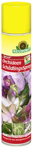 Neudorff Spruzit OrchideenSchädlingsSpray 300ml - Bild 1 von 1