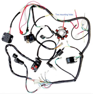COMPLETE ELECTRICS WIRING HARNESS CDI STATOR 2 HOLES 200cc 250cc ZONGSHEN TAOTAO - Foto 1 di 5