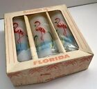 Vintage Boxed Set of 3 Florida Souvenir Flamingo Highball Frosted Glasses In Box