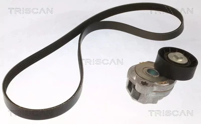 Kit Cinghie Poly-V TRISCAN 8642 27002 VOLVO XC60 I SUV (156) - Immagine 1 di 2