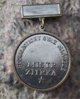 Antique Ssm Socialist Youth Of Czechoslovakia Master Of The Future Medal