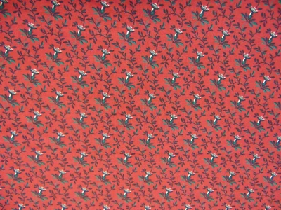 Caja de pintura Thimbleberries 2002/2003 RJR tela de algodón foral 51" x 44" Foto 1 de 4