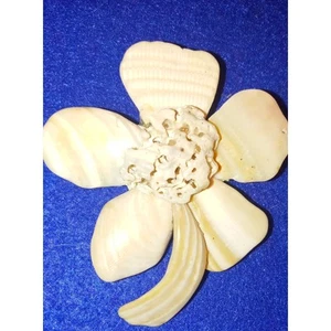 Seashell Flower Brooch Aritst signed - Picture 1 of 2