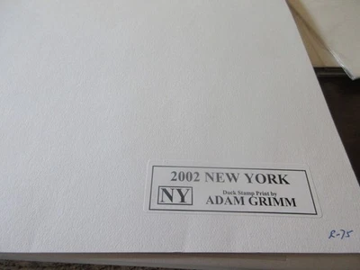 2002 New York State Duck Stamp Print plus NH Stamp na pasta original - Imagem 1 de 3