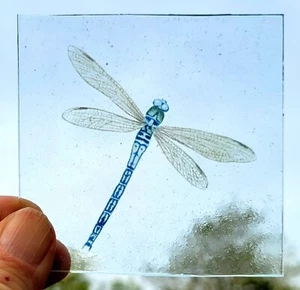 Stained glass Dragonfly piece traditional kiln fired 8 cm x 8 cm permanent - Picture 1 of 1