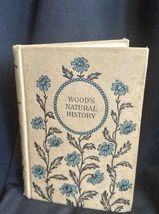 Wood's Natural History von James, 1852, Hurst - Bild 1 von 14