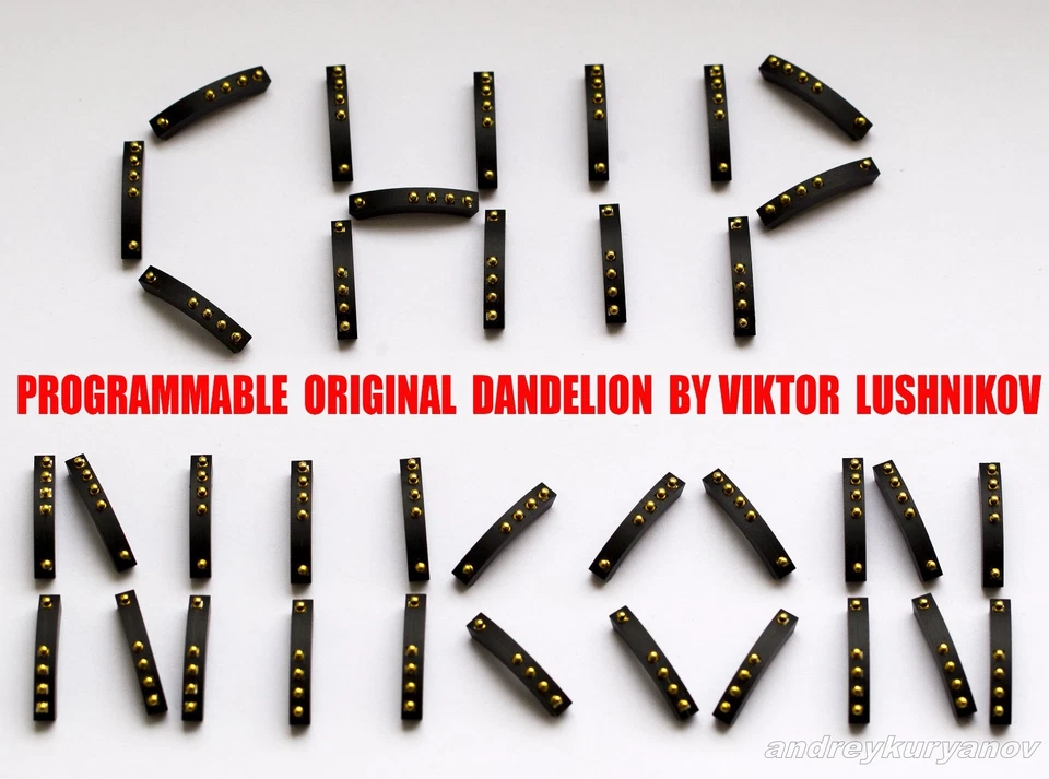 Nikon Dandelion chip with installation. Do not buy! Read the description first! - Image 1 of 4