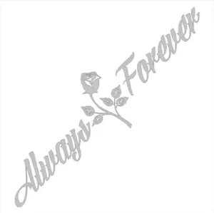 Always And Forever Car Stickers JDM Windshield Banner Motivation 24cm X 90cm - Foto 1 di 1