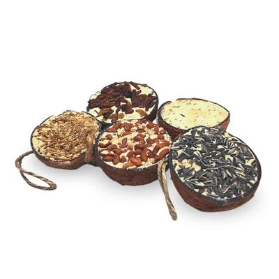 Halbe Kokosnuss gefüllt 2 x 10 Stück Lyra Pet® Vogelfutter Wildvögel Fettfutter - Bild 1 von 4