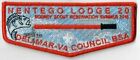 Boy Scout OA 20 Nentego Lodge 2016 Summer Star Wars Lightsaber Flap