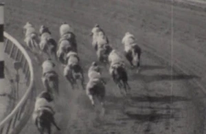 Hialeah Rennbahn 1966 | *KAUAI KING* 16mm Filmrolle Pferderennen Ford Stables - Bild 1 von 4