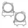 Kit Stator Régulateur Rectifieur Joint Carter Allumage Polaris RZR900 Rzr1000 Oem 4013970 4014029 5813758 - Foto 7