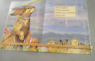 Rabbits and Raindrops Jumbo Large Big Book Jim Arnosky Paperback Classroom 24x18 Only C$18.95 on eBay