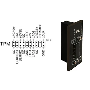 Module TPM 2.0 20 broches Plateforme approuvée Pour carte mère ASUS Windows 11 - Photo 1/7