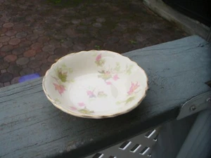 Vintage 1940's Homer Laughlin China Autumn Leaves 4" Salad Fruit Cereal Bowl - Picture 1 of 6