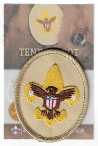 SCOUTS BSA TENDERFOOT RANK AWARD PATCH & CARD CURRENT LIGHT-TAN MINT SINCE 1910 - Picture 1 of 6